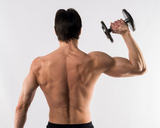 10 Shoulder Exercises With Dumbbells At Home - Fitness Health