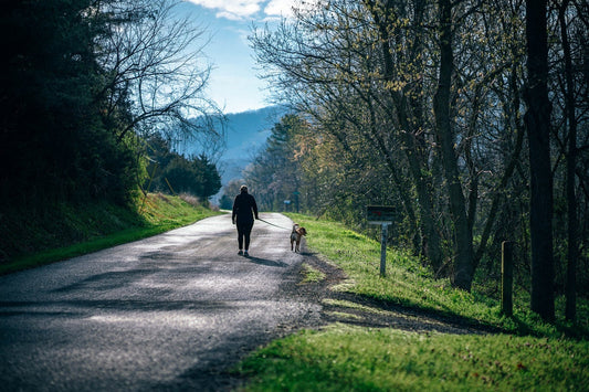 10 Ways Which Could Help Us Live Longer - Fitness Health