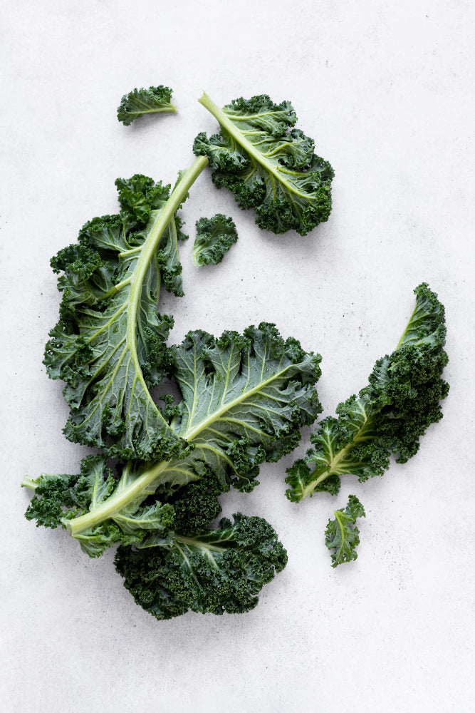 The Incredible Benefits of Kale: A Nutritional Powerhouse