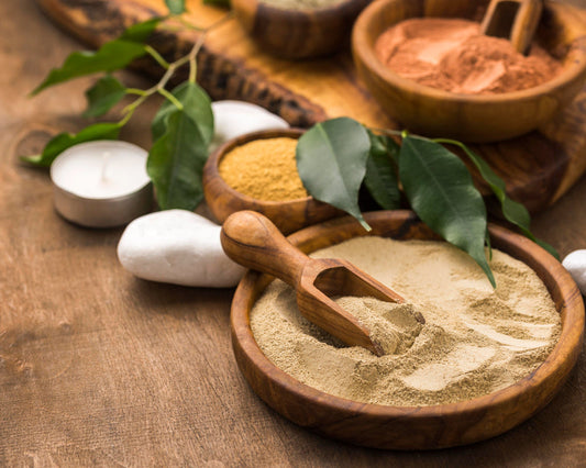The Best Adaptogen Guide for Stress Relief and Wellness Benefits
