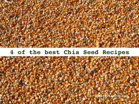 4 of the best Chia Seed Recipes - Fitness Health