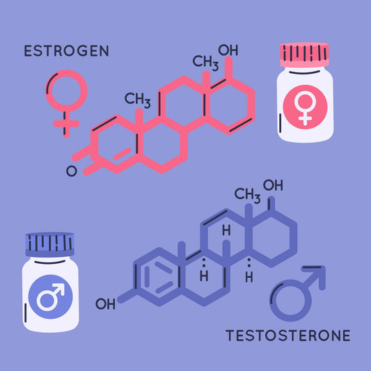 Essential Guide to Hormone Balance Supplements for Optimal Health
