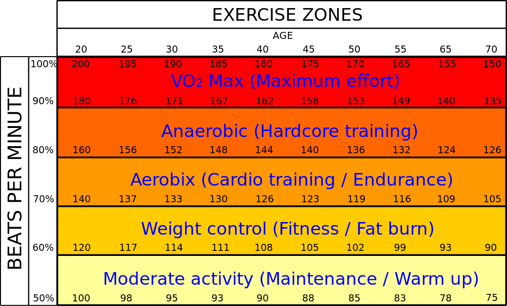 Best heart rate to burn fat - Fitness Health