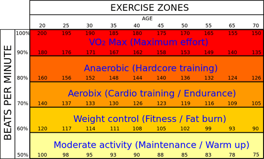 Best heart rate to burn fat - Fitness Health