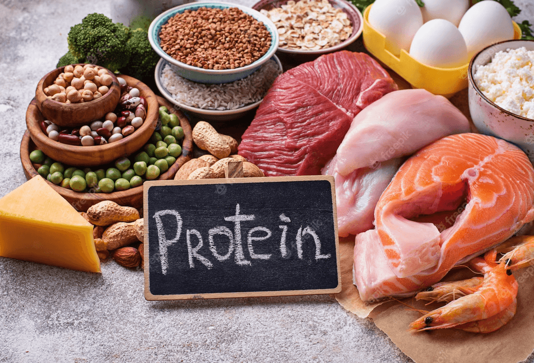 Easy Ways to Increase Your Protein Intake - Fitness Health