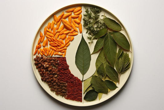 How do I reset my gut health? - Fitness Health