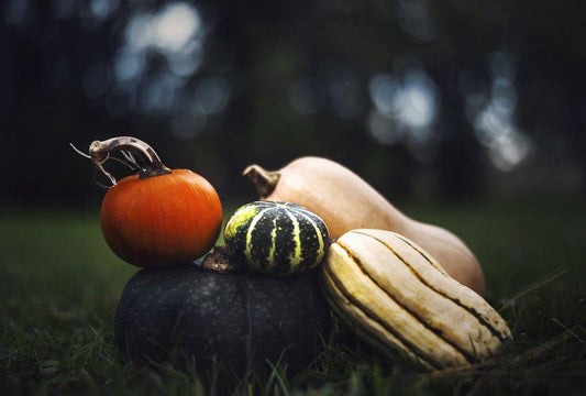 How to lose weight on a vegan diet - Fitness Health