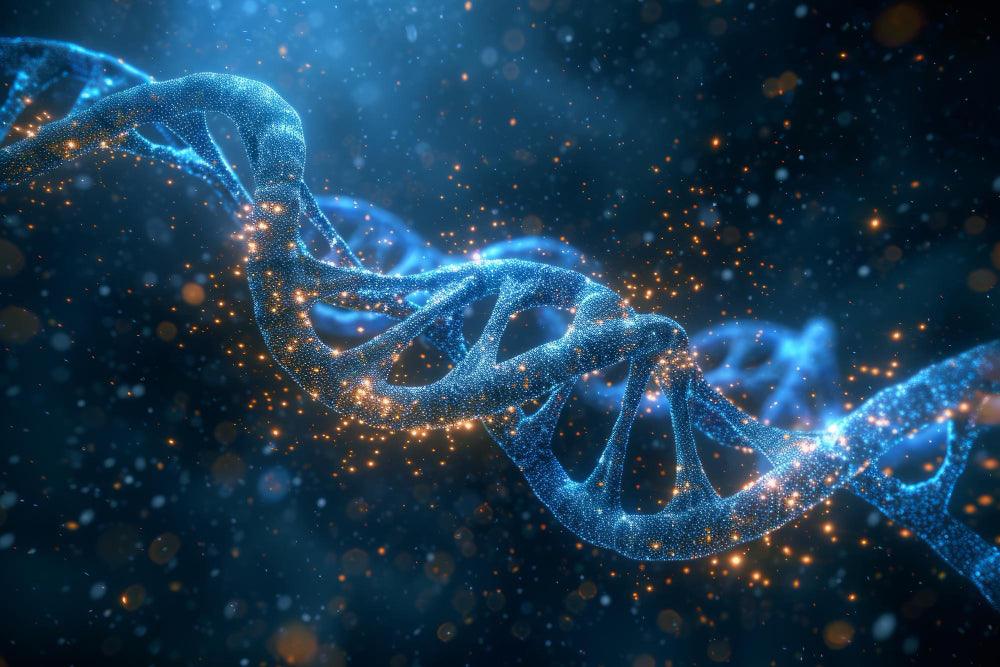 L-Threonine - What are the benefits from this amino supplement ? - Fitness Health