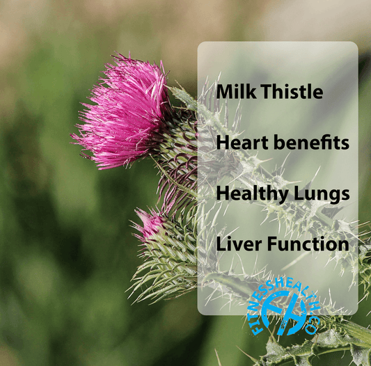 Milk thistle healthy gall bladder - Fitness Health