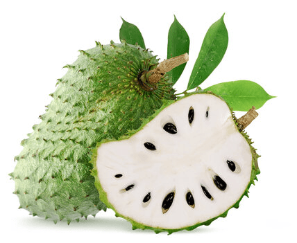 Soursop: Uncover the Hidden Health Benefits of this Exotic Tropical Fruit - Fitness Health