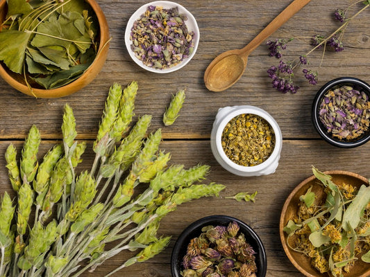 Natural Remedies for Anxiety: A Comprehensive Guide to Non-Pharmaceutical Relief