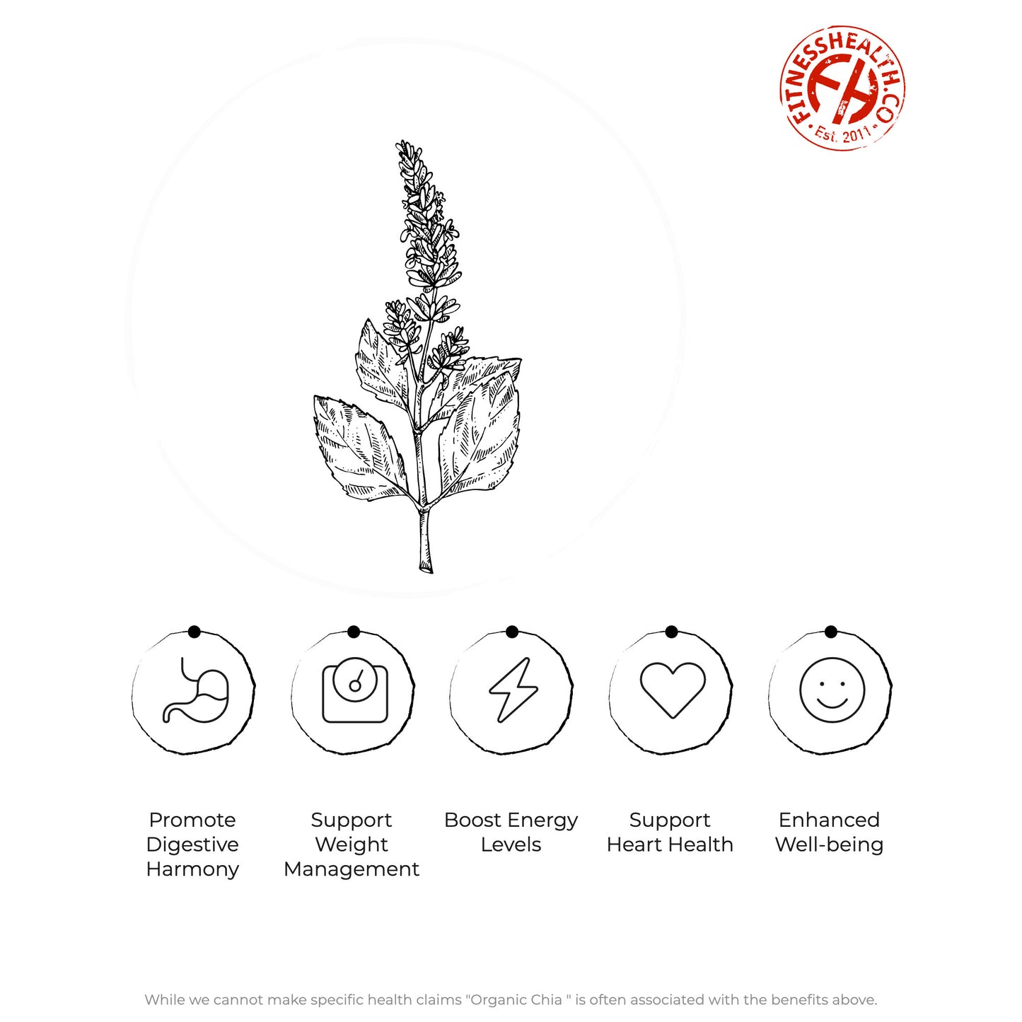 Organic Chia Seeds Raw Whole Chia