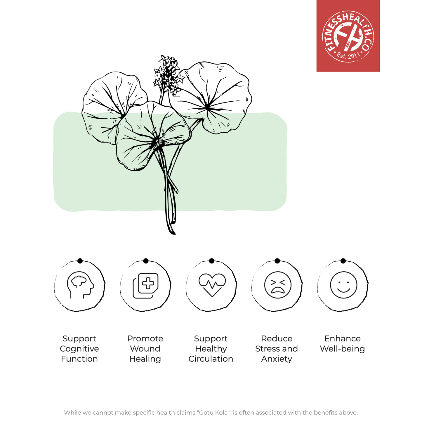 Gotu Kola Ground Powder