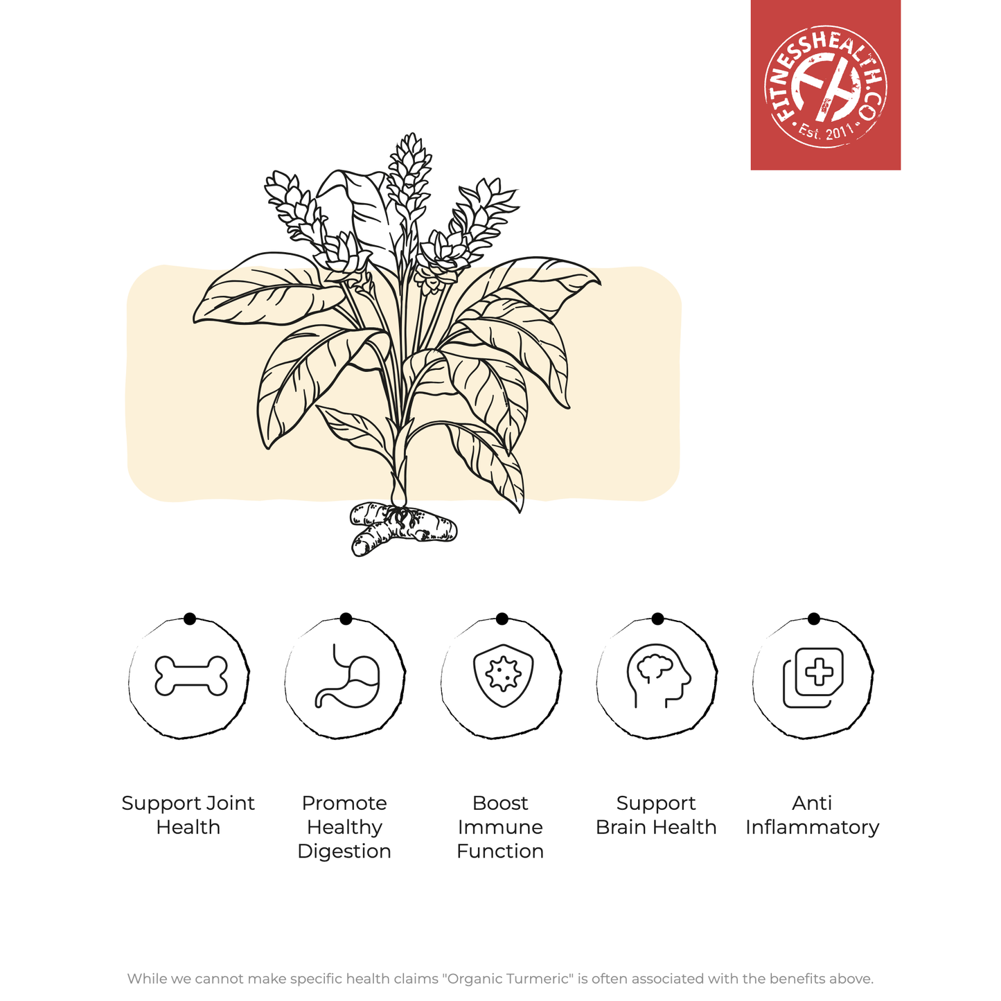 Organic Turmeric Root Powder