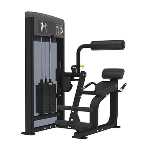 Back Extension ( Pro Series ) - Fitness Health