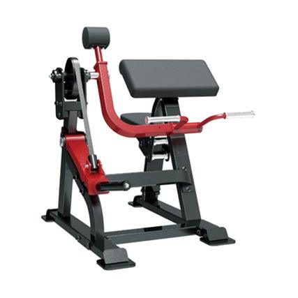 Bicep Curl ( Sterling Series ) - Fitness Health