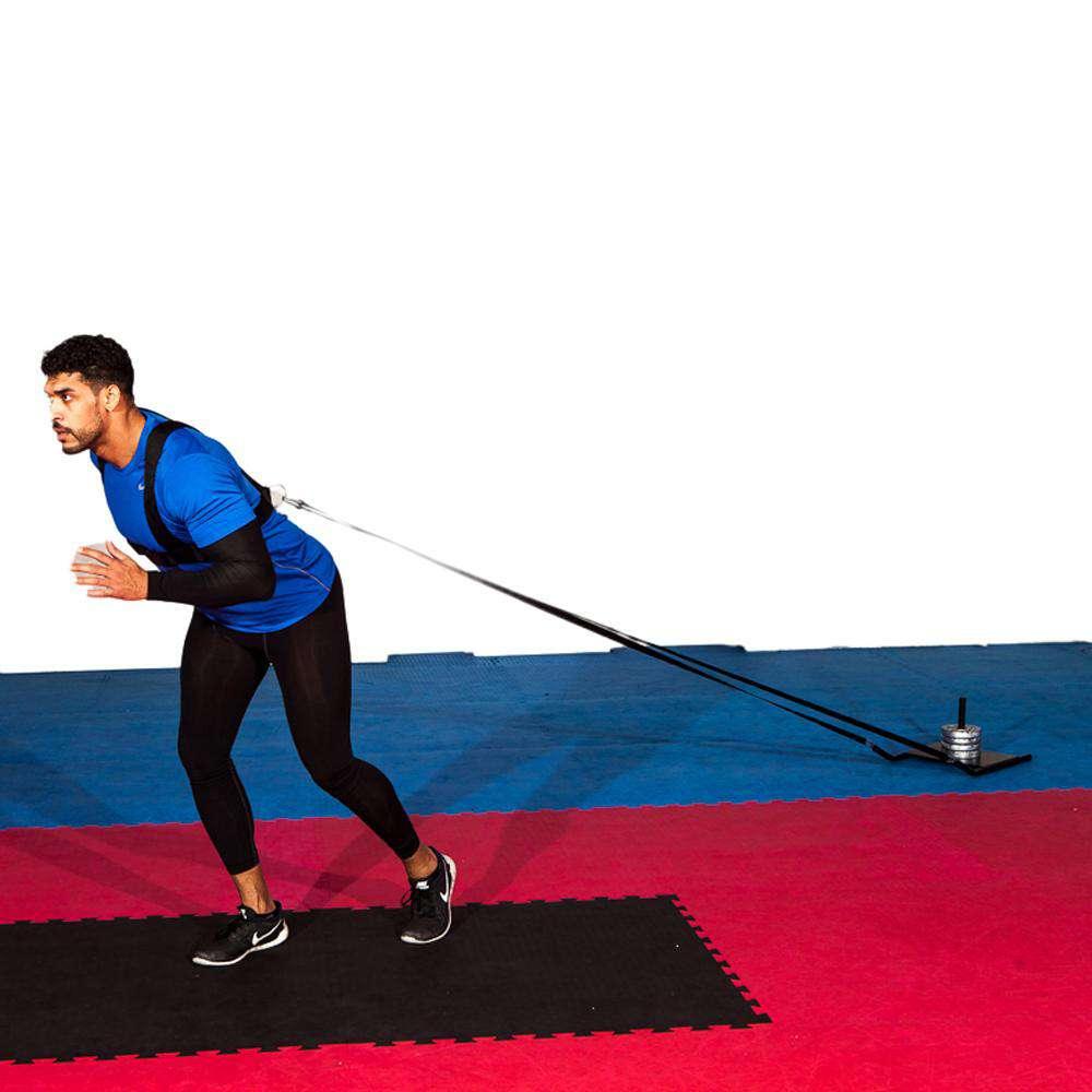 FH Pro Mini Speed Sledge Team Series - Fitness Health