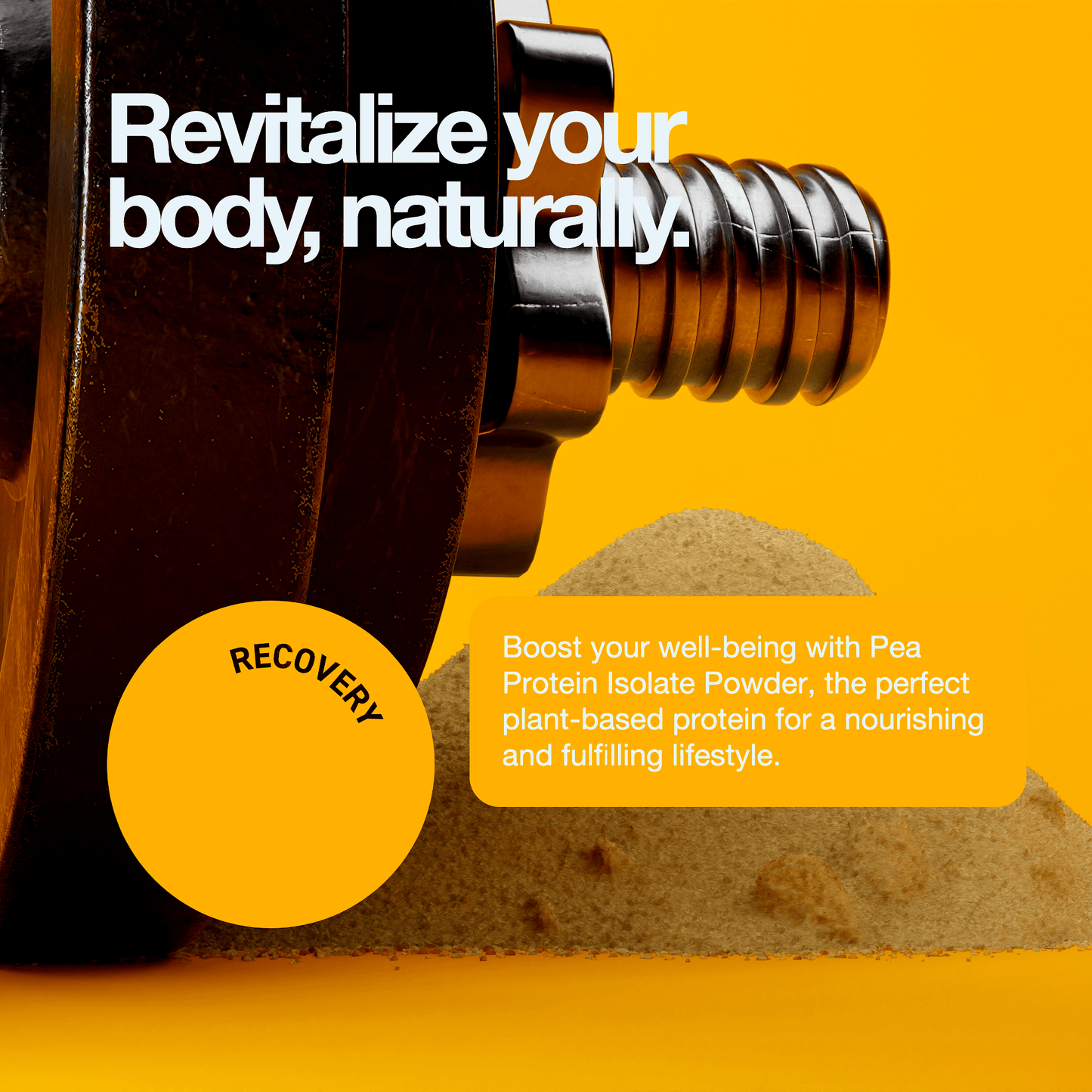 Pea Protein Isolate Powder - Fitness Health