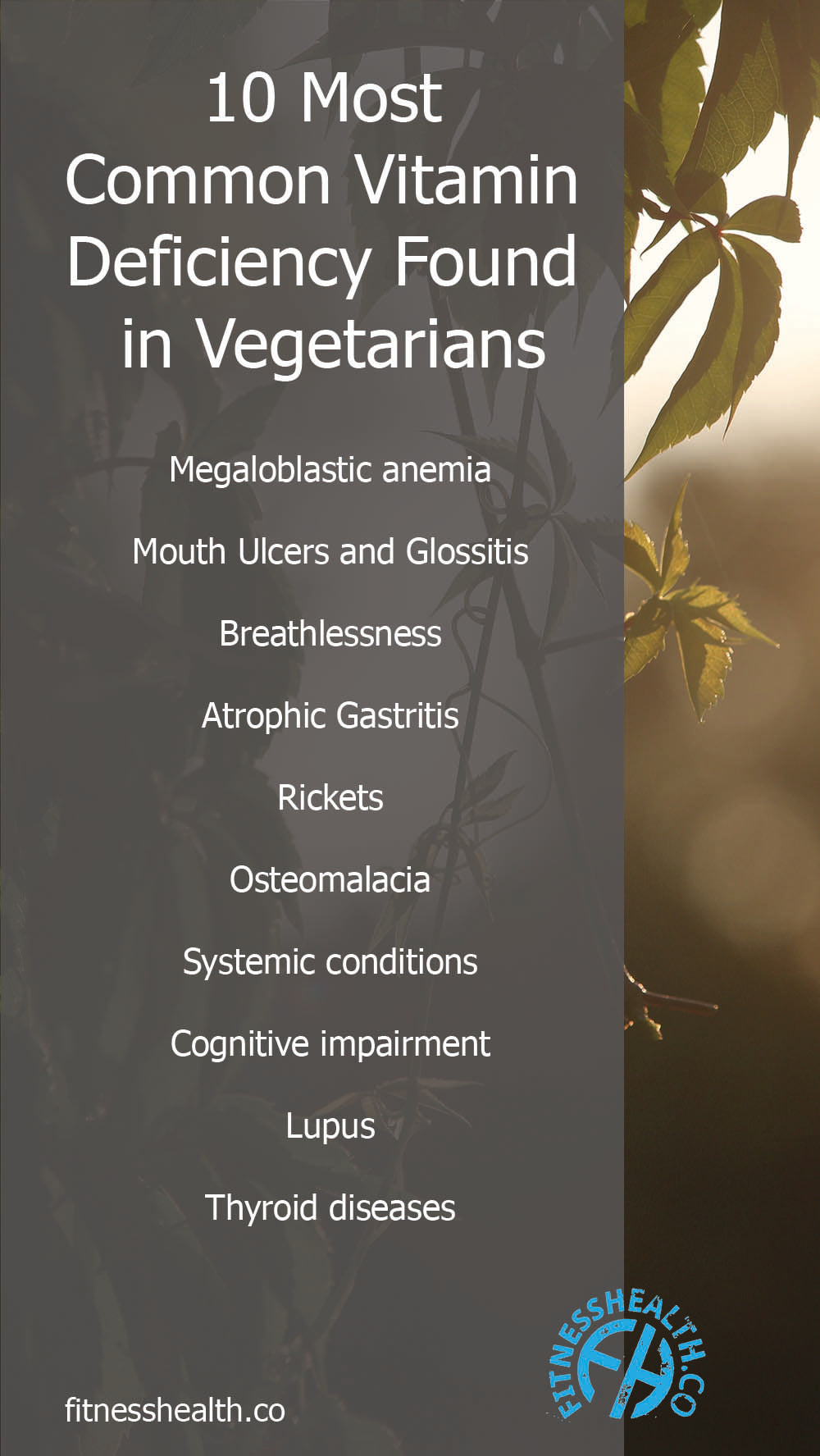 10 Most Common Vitamin Deficiency Found in Vegetarians - Fitness Health 