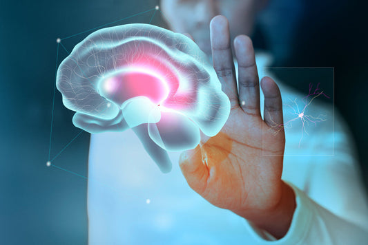 Quercetin Complex: The Master Antioxidant and Anti-Inflammatory Compound