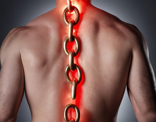 How the Reverse Hyper Builds a Bulletproof Posterior Chain