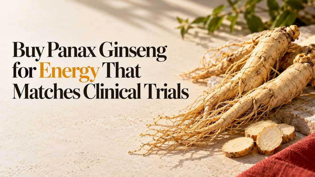 Panax ginseng roots and sliced pieces