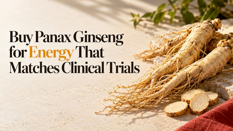 Panax ginseng roots and sliced pieces
