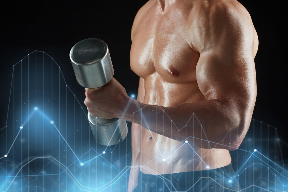 Fit Build The Best Guide to Building Mass Muscle Effectively and Safely – Fitness ...