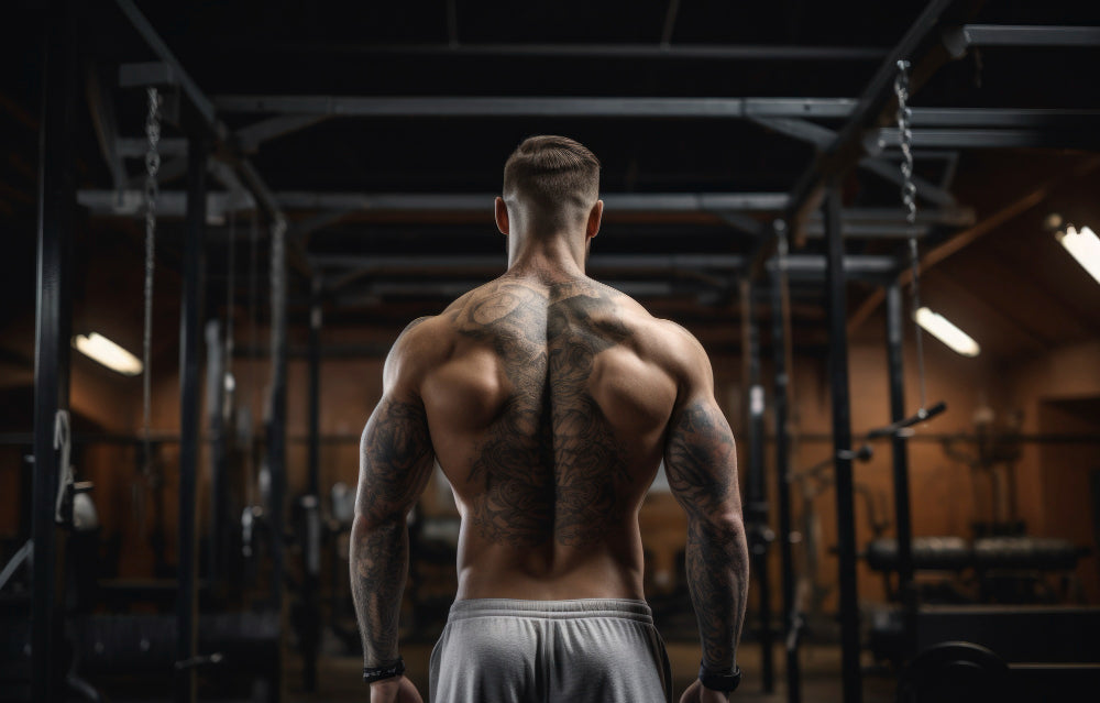 The Best Workout to Gain Muscle Mass: How Often and How Much?