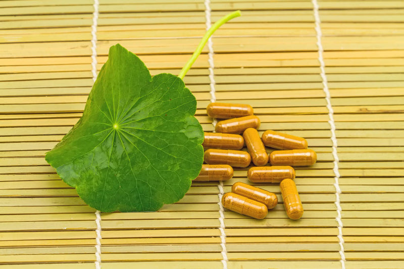 Top Ginseng Ginkgo Biloba: Benefits and Uses for Optimal Health