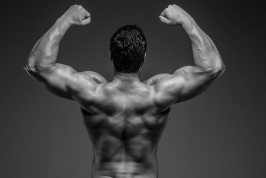 The Best Good Supplements for Muscle Growth You Should Consider