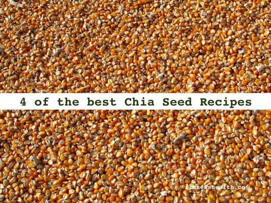 4 of the best Chia Seed Recipes - Fitness Health 