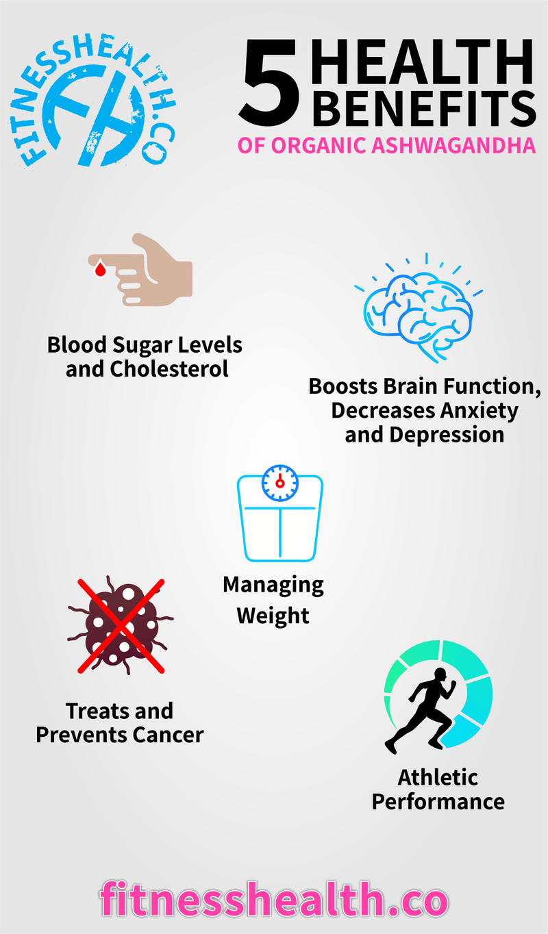 5 HEALTH BENEFITS OF ORGANIC ASHWAGANDHA - Fitness Health 