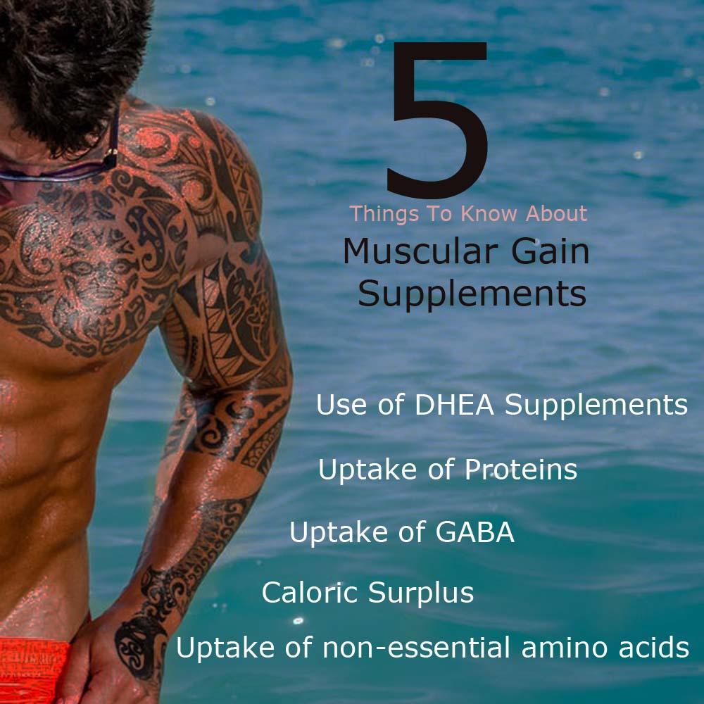 5 Things To Know About Muscular Gain Supplements - Fitness Health 