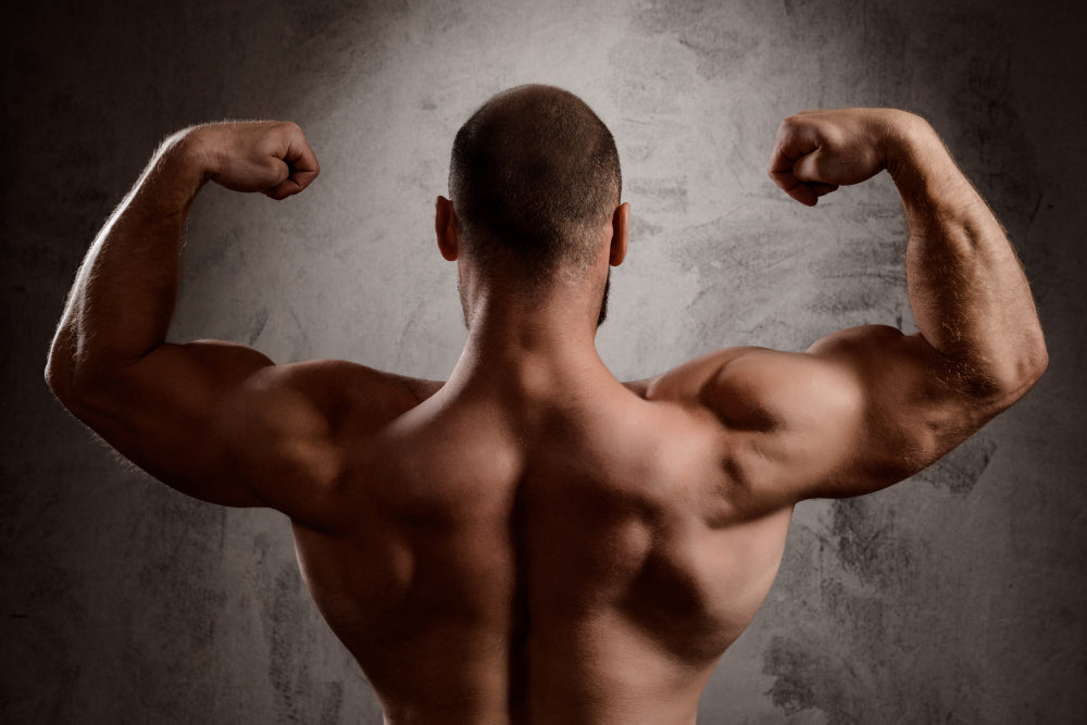 Evidence-Based Supplementation for Muscle Building – Fitness Health