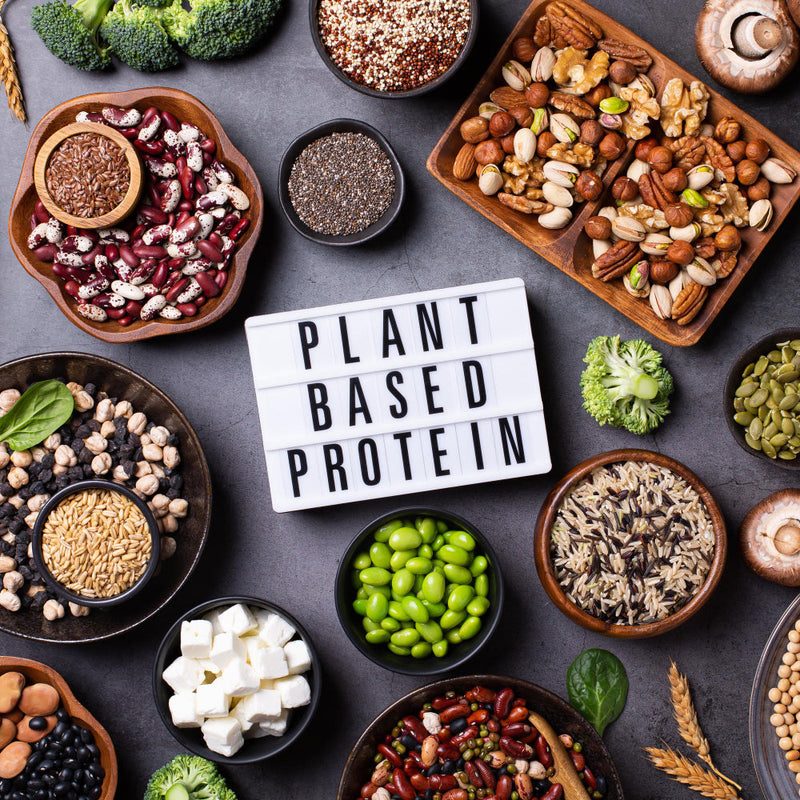 Top 6 Seeds with Highest Protein to Boost Your Nutrition
