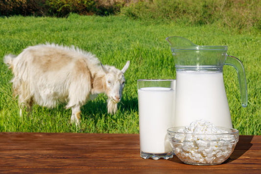 Goat Milk for Eczema: Benefits and Considerations for Sensitive Skin