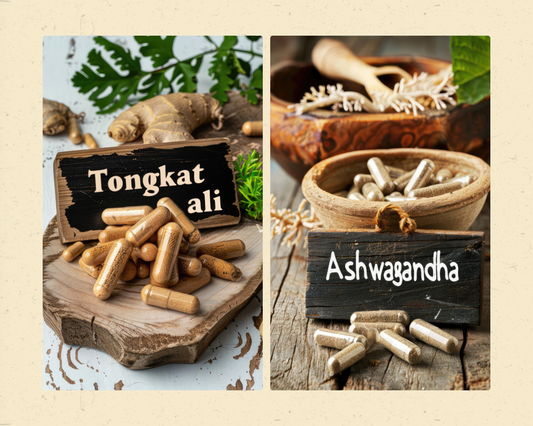 Tongkat Ali vs. Ashwagandha: Which Herbal Supplement is Better for You