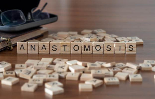 What to Know About Single Anastomosis Gastric Bypass Sydney