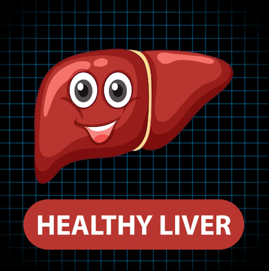 The Best Supplement for the Liver: Support Your Liver Health Today