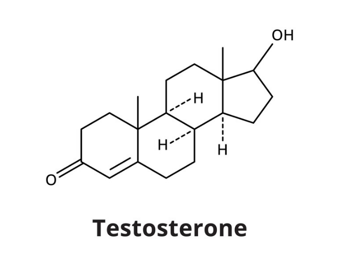 Will Zinc Boost Testosterone