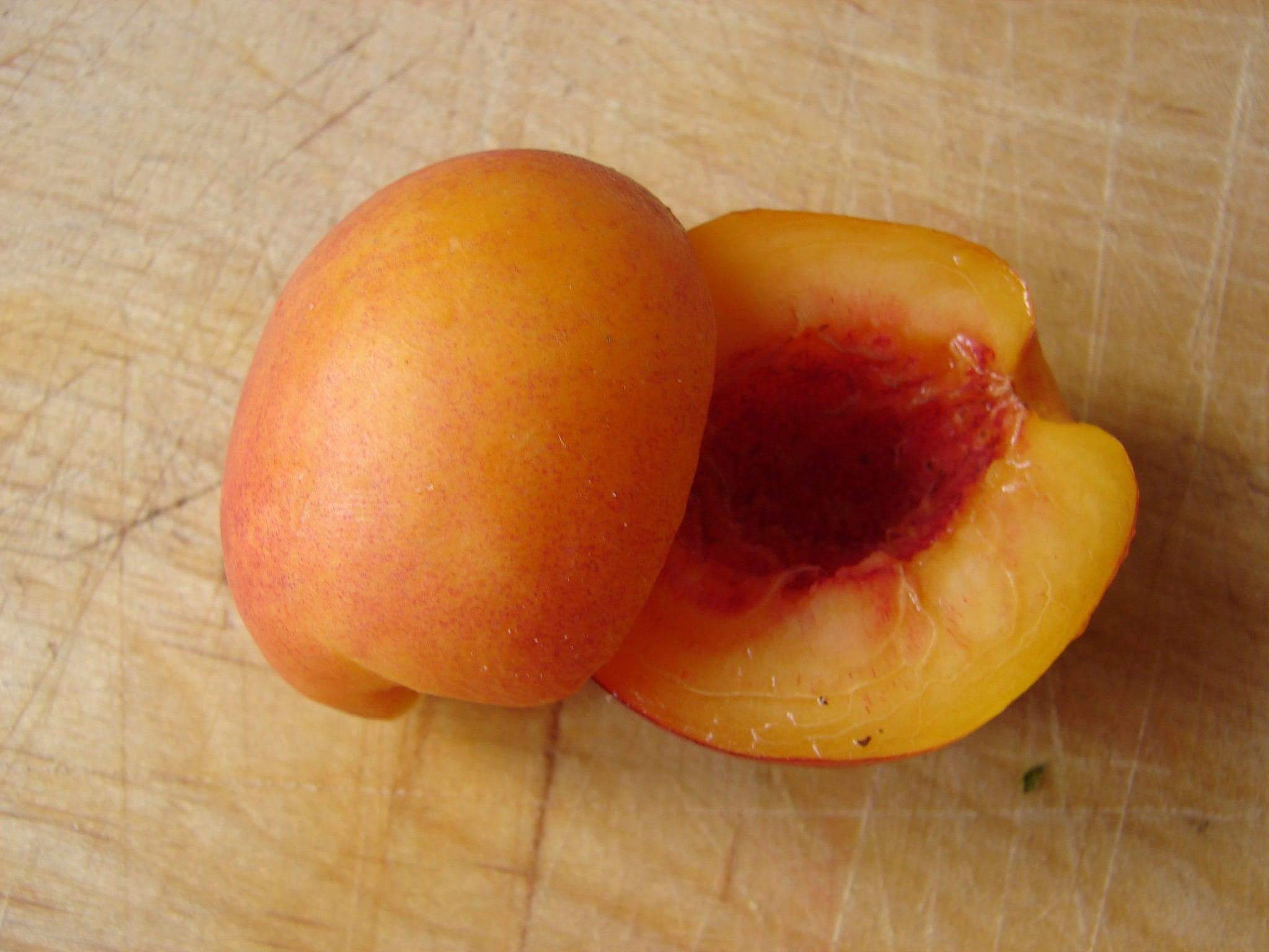 Apricot Kernel Tea Exploring the Good Stuff in Apricot Kernel Capsules and Amygdalin for ...