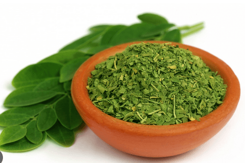 Harnessing the Power of Moringa Powder to Boost Your Health and Wellness - Fitness Health 