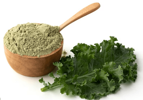 Kale Powder vs. Fresh Kale: Which One Is Better? - Fitness Health 