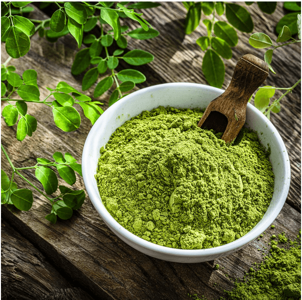 Moringa powder health benefits - Fitness Health 