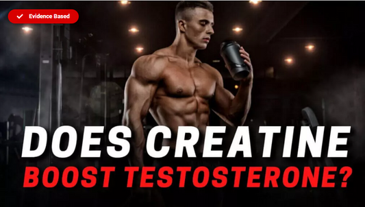 Does Creatine Increase Testosterone