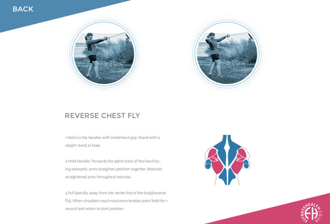 REVERSE CHEST FLY - Fitness Health 