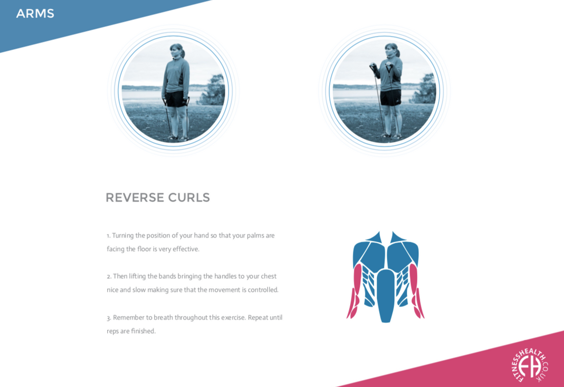 REVERSE CURLS - Fitness Health 