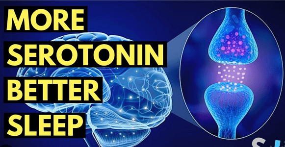 Serotonin and Sleep: The Link Between The Sleep Inhibiting Hormone and Depression - Fitness Health 