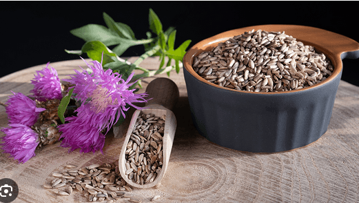 The Marvelous Benefits of Milk Thistle for a Healthier You - Fitness Health 